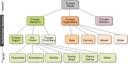 Bajcsy association taxonomy 50