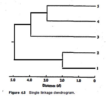 Everitt dendrogram